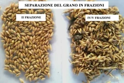 Detergente per cereali / Separatore aerodinamico ASM-15