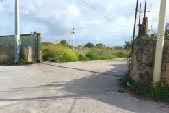#24733 Due appezzamenti agricoli in zona rurale