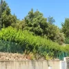 #24126 Due frustoli di terreno in zona residenziale