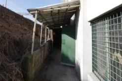 #21832 Due laboratori artigianali in zona semicentrale