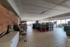 #19982 Edificio artigianale con cortile e celle frigorifere