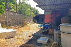 #2639900 Edificio artigianale con laboratorio e cortile