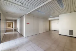 #2537729 Edificio cielo terra indipendente con parcheggio sotterraneo privato e ampia area esterna