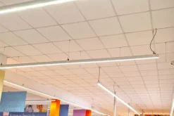 #24098 Edificio commerciale con parcheggio privato