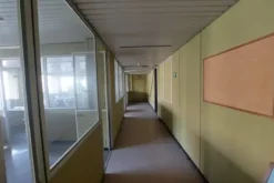 #25736 Edificio direzionale con uffici, mensa e cortile