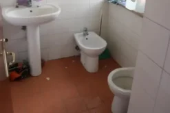 #14857 Edificio terziario con tettoie e corte privata