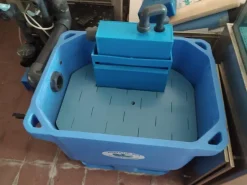 ESPOSITORE MOLLUSCHI BIVALVI-CROSTACEI