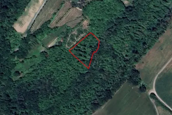 #24633 Fabbricati e terreni per azienda agricola