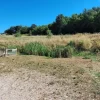 #24028 Fabbricato artigianale con terreno agricolo