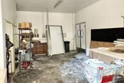 #24028 Fabbricato artigianale con terreno agricolo