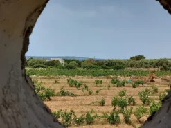 #6845 Fabbricato direzionale con terreni agricoli