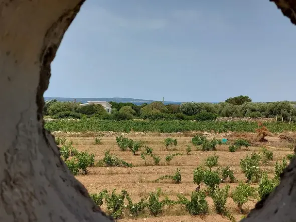 #6845 Fabbricato direzionale con terreni agricoli
