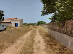 #6845 Fabbricato direzionale con terreni agricoli