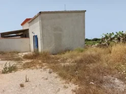 #6845 Fabbricato direzionale con terreni agricoli