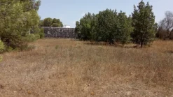 FABBRICATO + TETTOIE + PIAZZALE + TERRENO