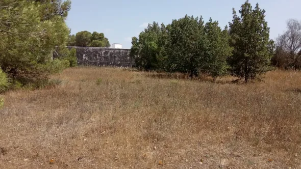 FABBRICATO + TETTOIE + PIAZZALE + TERRENO