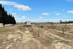 #23848 Fabbricato uso ufficio con terreno di 17.232 mq