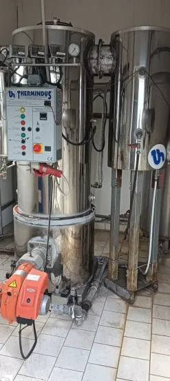 Generatore di vapore Thermindus TS 400