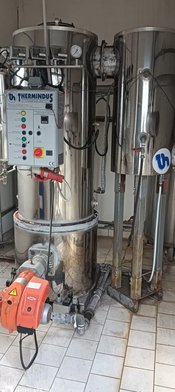 Generatore di vapore Thermindus TS 400