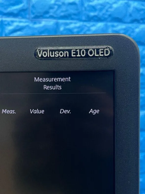 GE Voluson E10