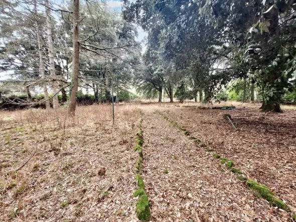 #22909 Giardino storico di 10.450 mq
