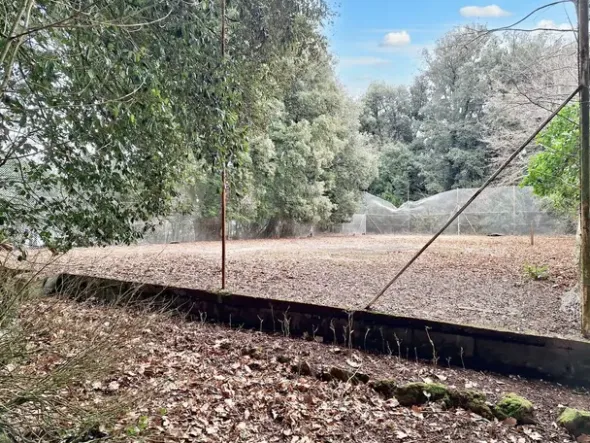 #22909 Giardino storico di 10.450 mq