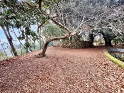 #22909 Giardino storico di 10.450 mq