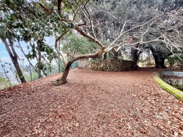 #22909 Giardino storico di 10.450 mq