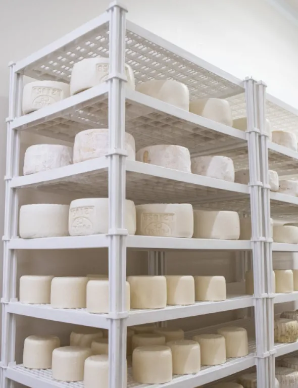 Griglia impilabile in plastica alimentare per formaggi