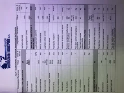 Impianto di combustione catalitica S.O.V.