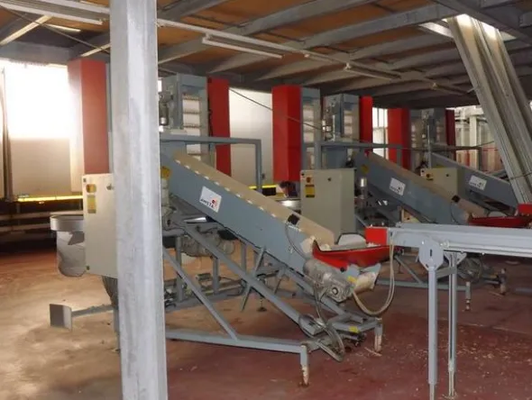 1#1963 Impianto smistamento Aweta per frutta rotonda