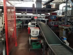 1#1963 Impianto smistamento Aweta per frutta rotonda