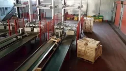 1#1963 Impianto smistamento Aweta per frutta rotonda