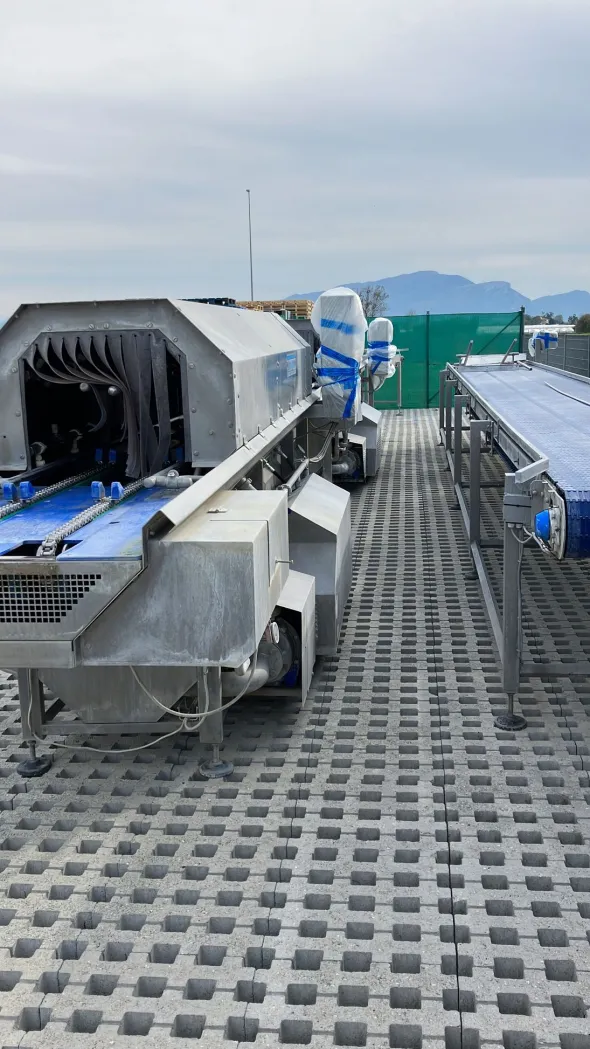 LINEA COMPLETA PER LAVAGGIO CASSETTE