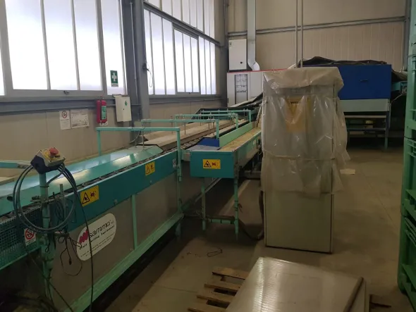 Linea di lavorazione Melone