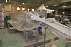 1#2231 Linea di lavorazione ortaggi Tecnofrutta
