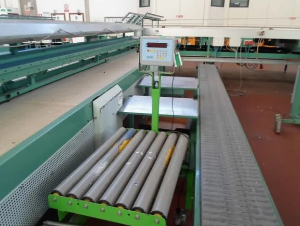4#69013 Linea di selezione e confezionamento kiwi-pesche