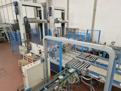 4#69013 Linea di selezione e confezionamento kiwi-pesche