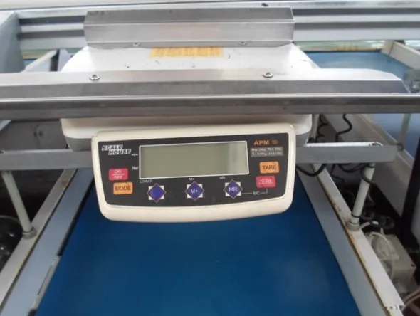 8#69013 Linea di selezione e lavorazione pere