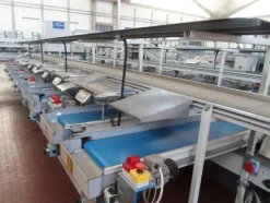 8#69013 Linea di selezione e lavorazione pere