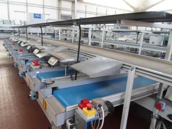 8#69013 Linea di selezione e lavorazione pere