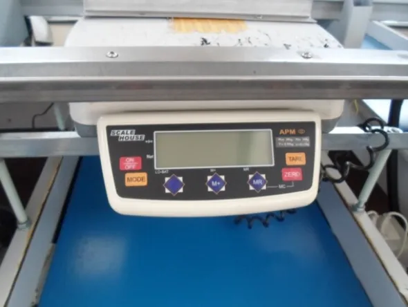 8#69013 Linea di selezione e lavorazione pere