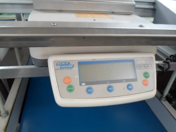 8#69013 Linea di selezione e lavorazione pere