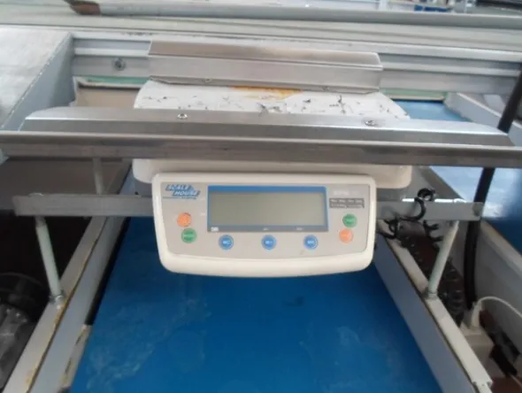 8#69013 Linea di selezione e lavorazione pere