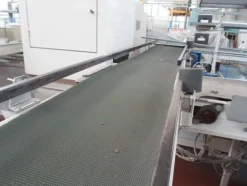 8#69013 Linea di selezione e lavorazione pere