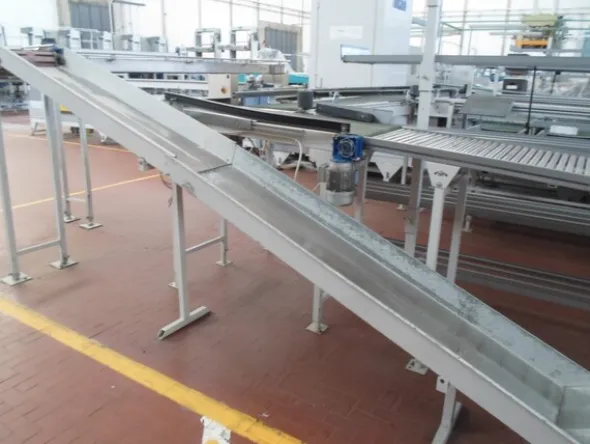8#69013 Linea di selezione e lavorazione pere