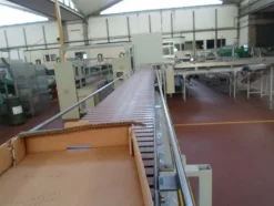 8#69013 Linea di selezione e lavorazione pere