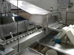 Linea produzione gelati e ghiaccioli