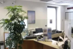 #19651 Locali adibiti ad istituto di credito