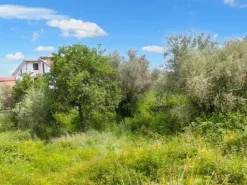 #24780 Lotti edificabili a destinazione residenziale